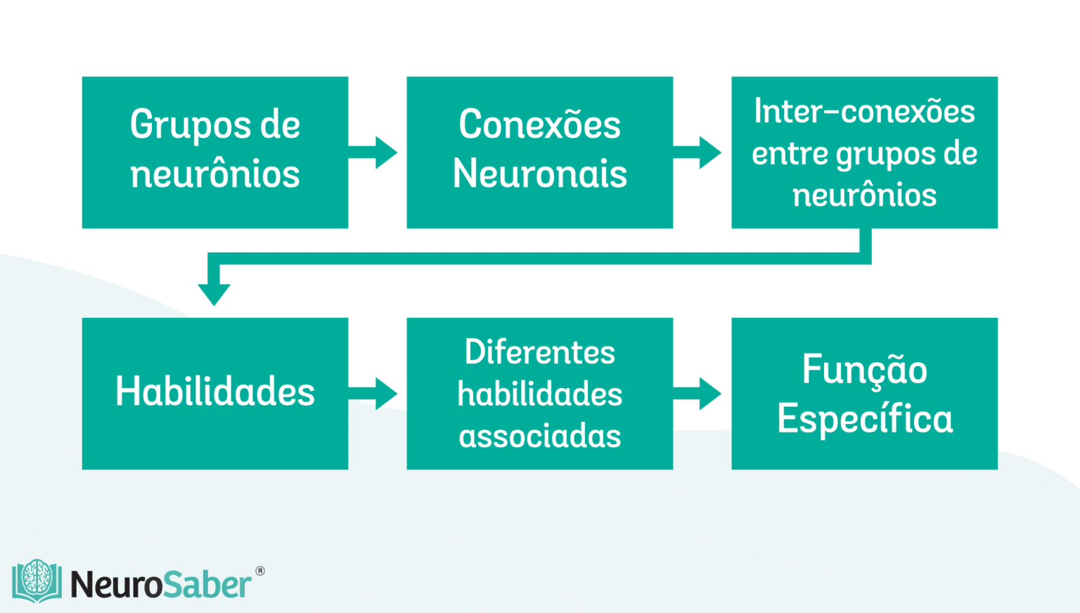 Mecanismos Neurol Gicos Da Aprendizagem Como O C Rebro Aprende Ies